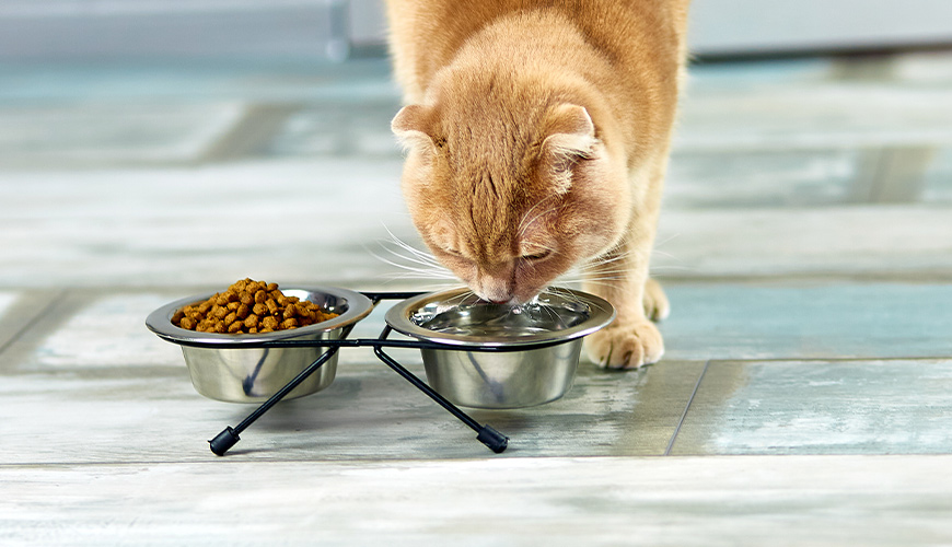 feature-image